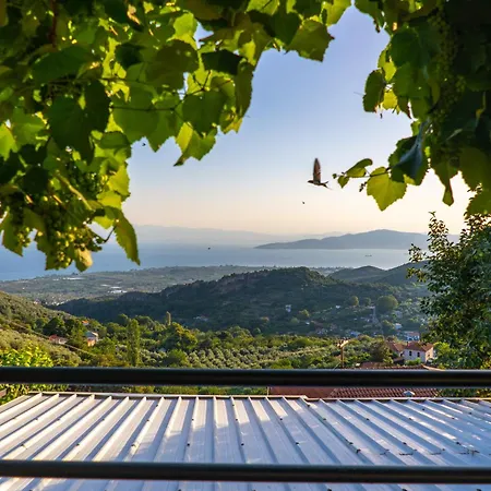 Villa Mirabilia Mountain With A Sea View *